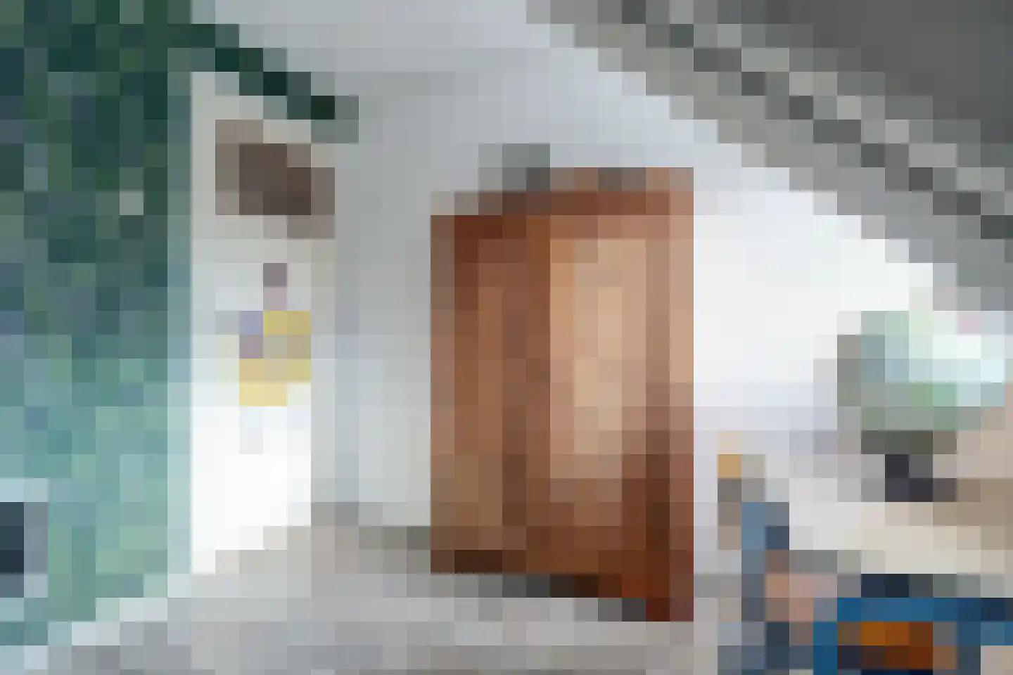 Javastraat 48 Hengelo thumbnail 26