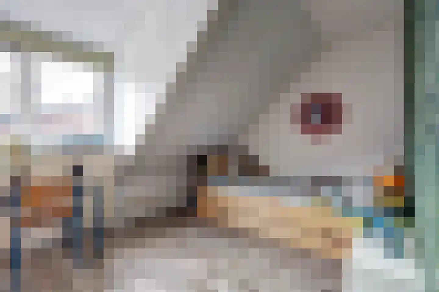 Javastraat 48 Hengelo thumbnail 27