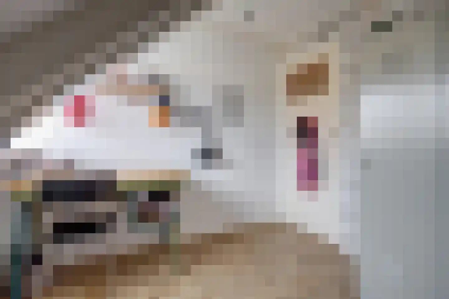 Javastraat 48 Hengelo thumbnail 28