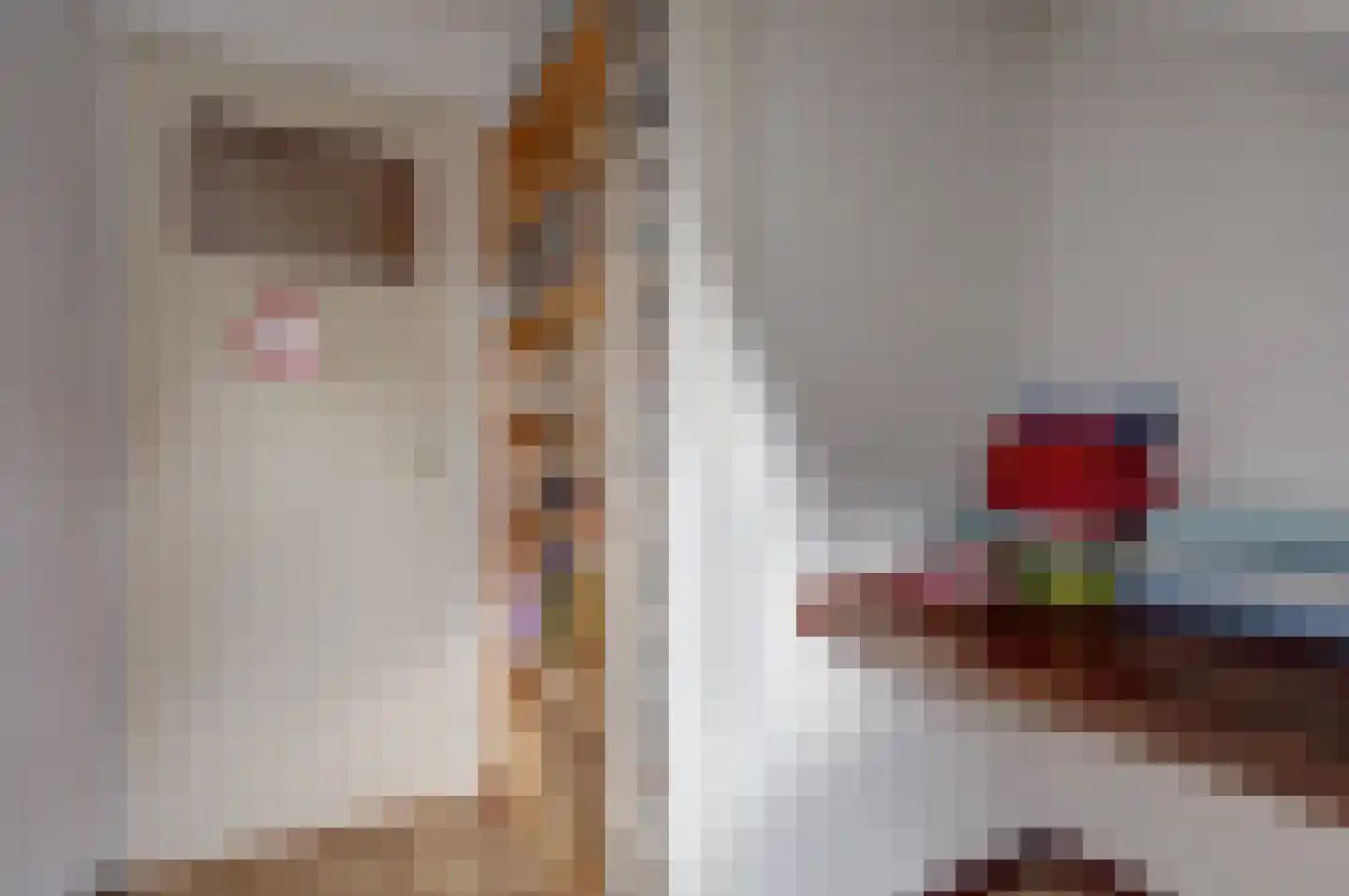 Javastraat 48 Hengelo thumbnail 30