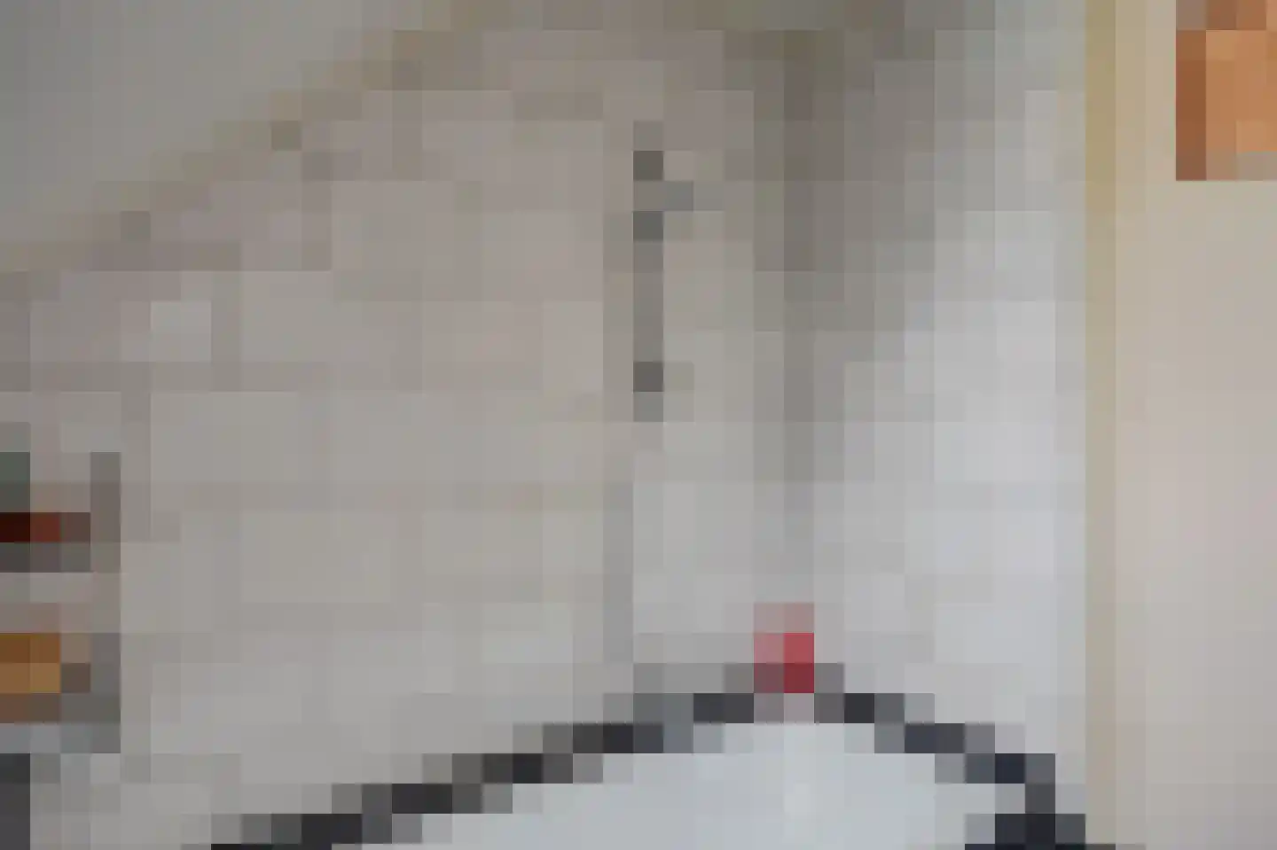 Javastraat 48 Hengelo thumbnail 32