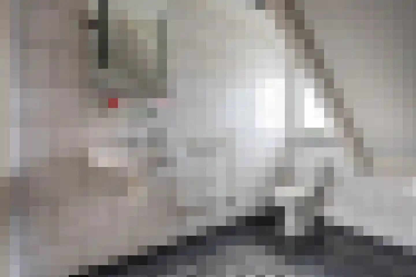 Javastraat 48 Hengelo thumbnail 33