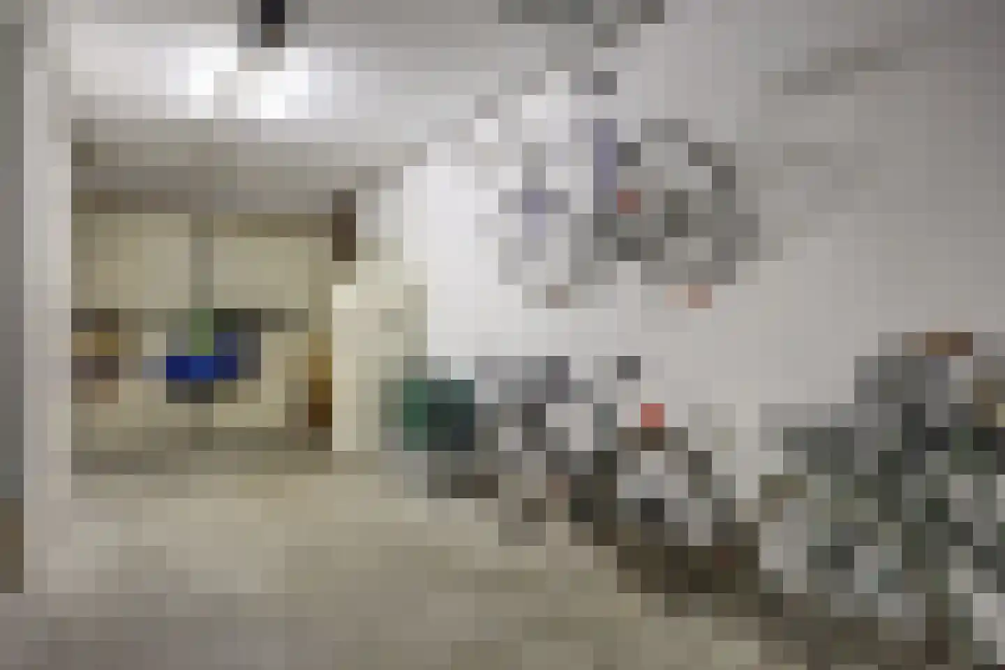 Javastraat 48 Hengelo thumbnail 47