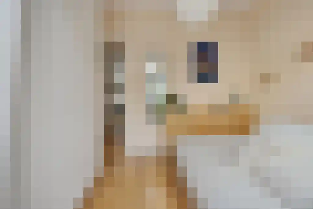 Javastraat 49 C Amsterdam thumbnail 13