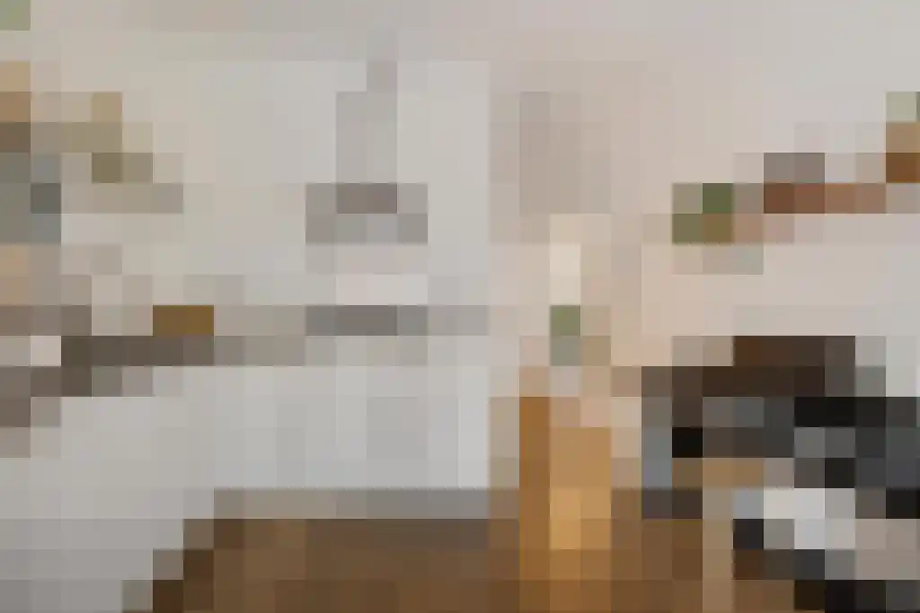 Javastraat 49 C Amsterdam thumbnail 6