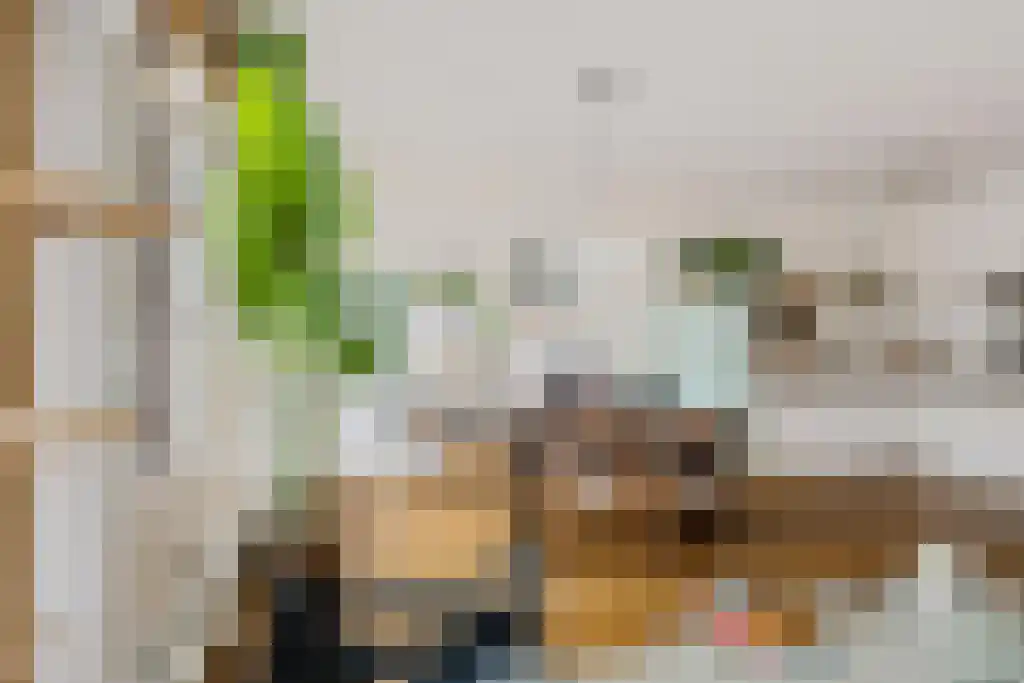 Javastraat 49 C Amsterdam thumbnail 8