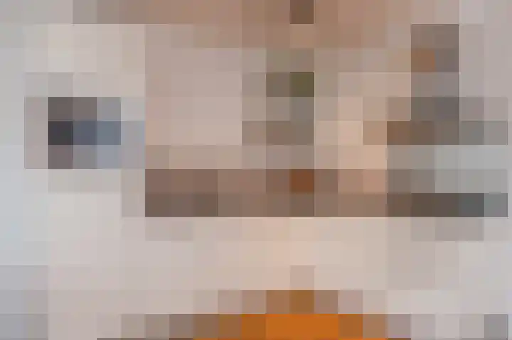 Javastraat 49 D Amsterdam thumbnail 14