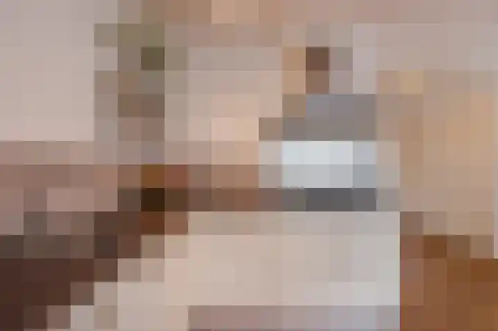 Javastraat 49 D Amsterdam thumbnail 16