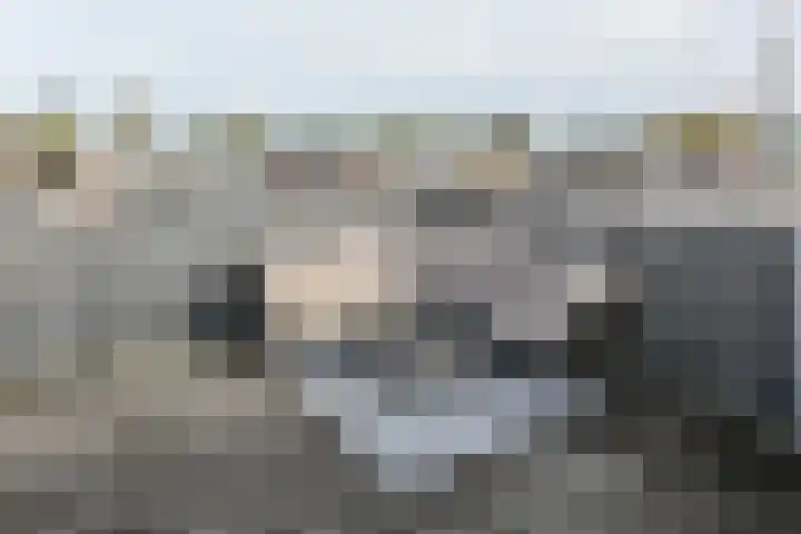 Javastraat 50 4 Amsterdam thumbnail 17