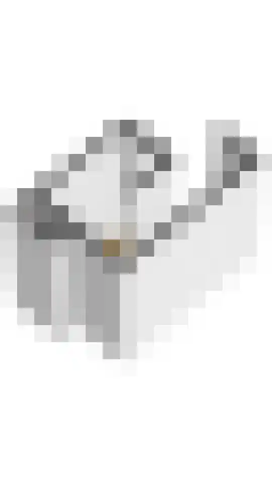 Javastraat 50 4 Amsterdam thumbnail 27
