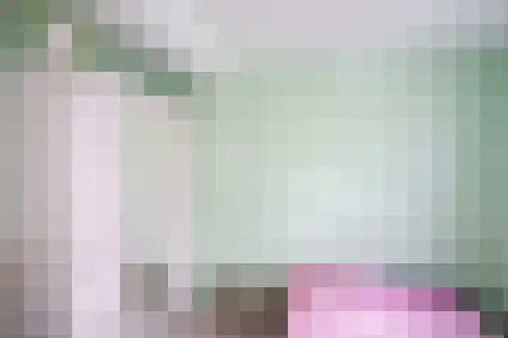 Javastraat 53 Delft thumbnail 13