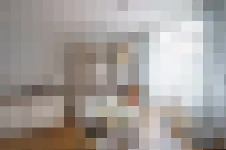 Javastraat 53 Delft thumbnail 5