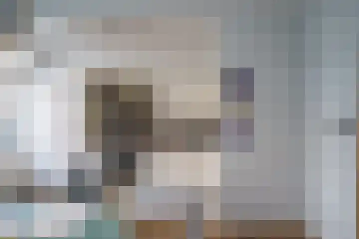 Javastraat 53 Delft thumbnail 7