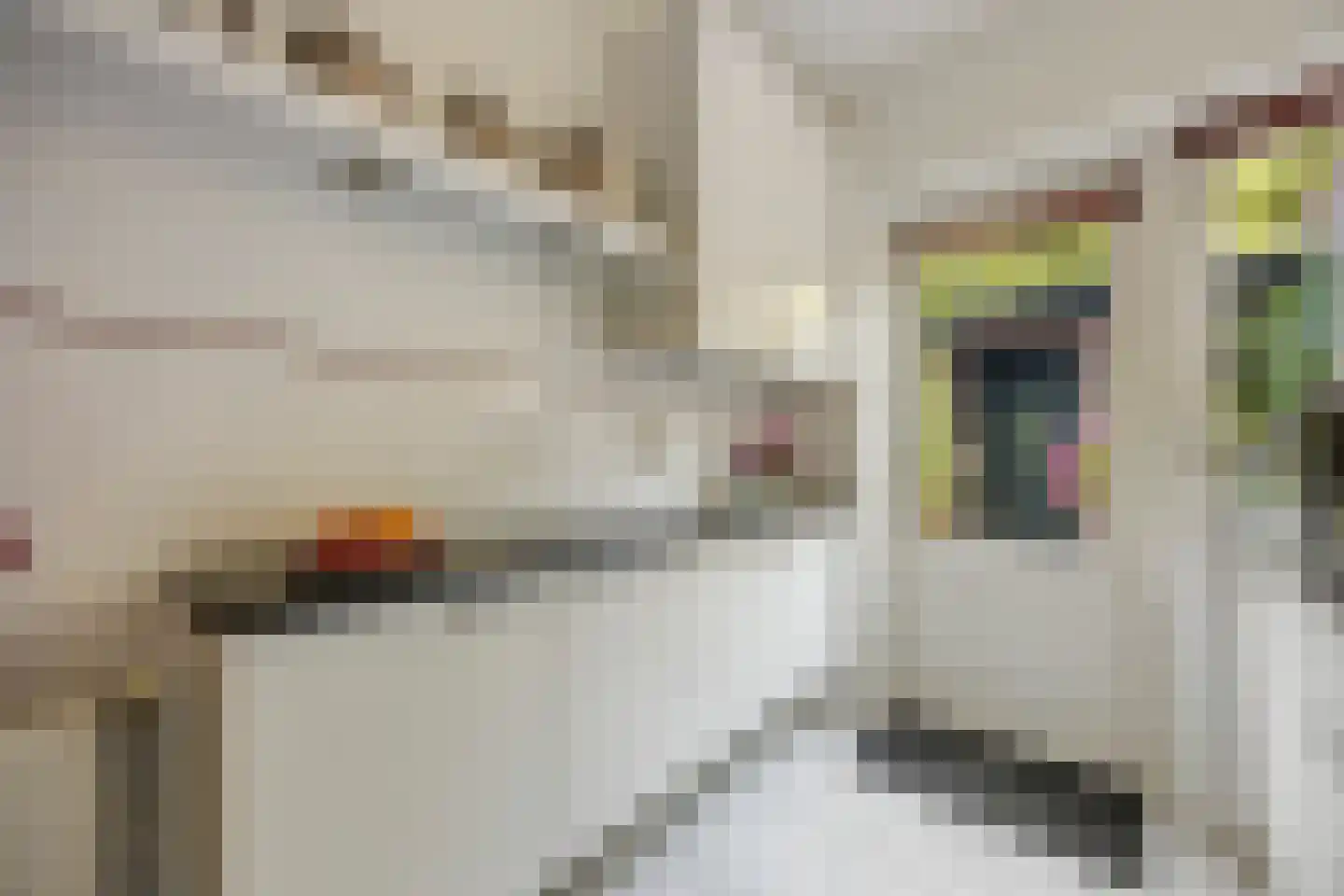 Javastraat 55 Nijmegen thumbnail 10