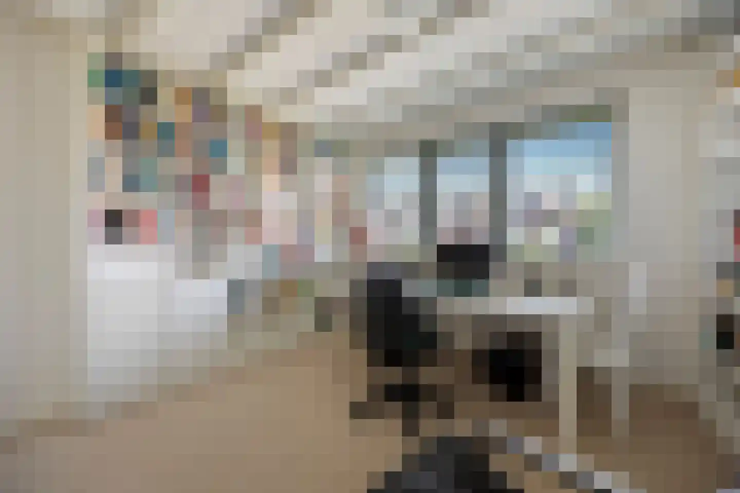 Javastraat 55 Nijmegen thumbnail 16