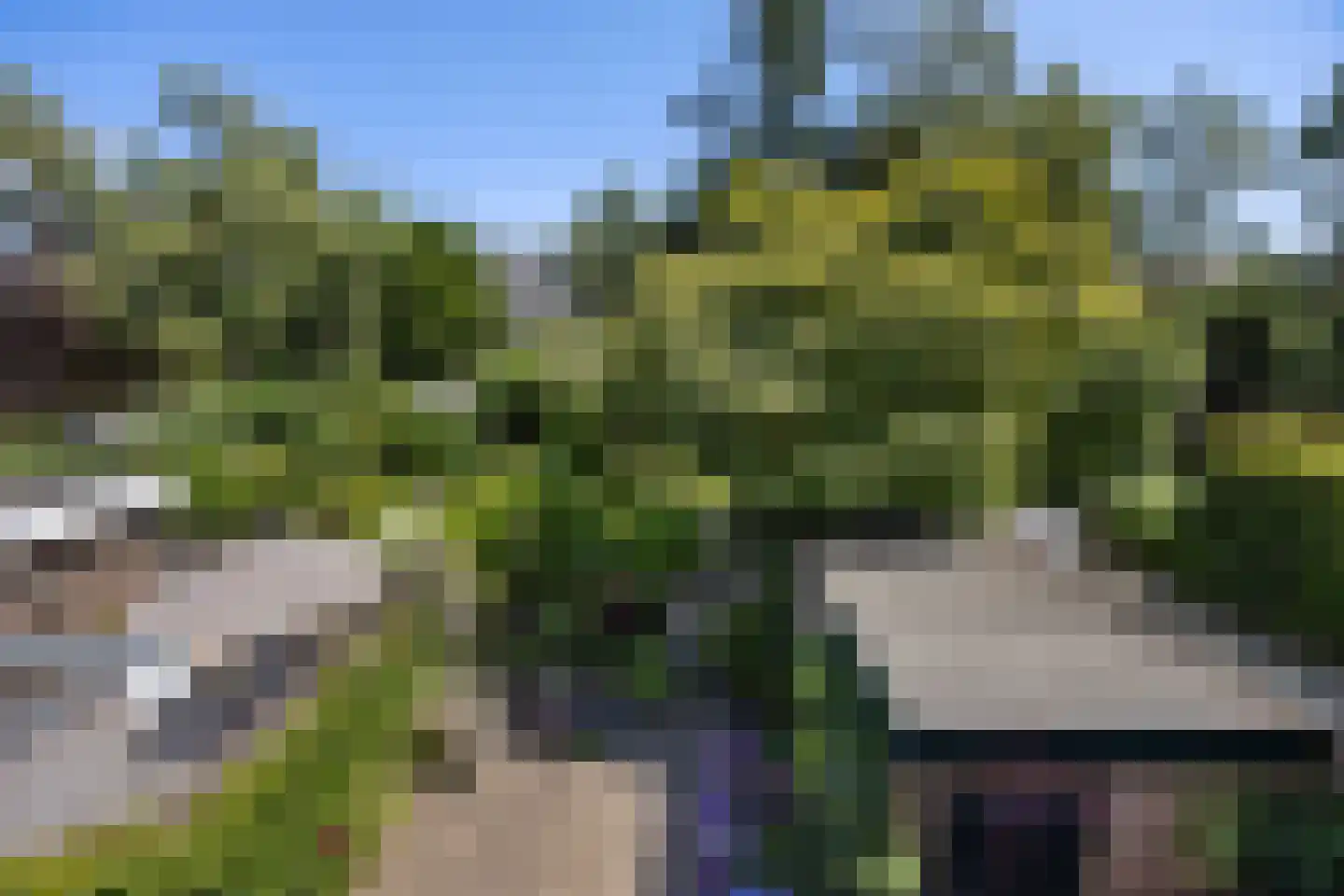 Javastraat 55 Nijmegen thumbnail 20