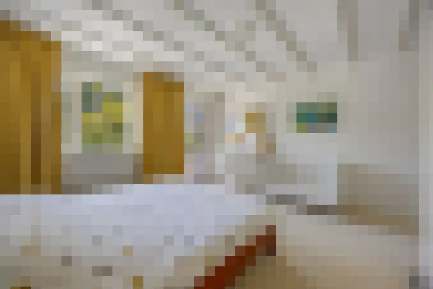 Javastraat 55 Nijmegen thumbnail 22