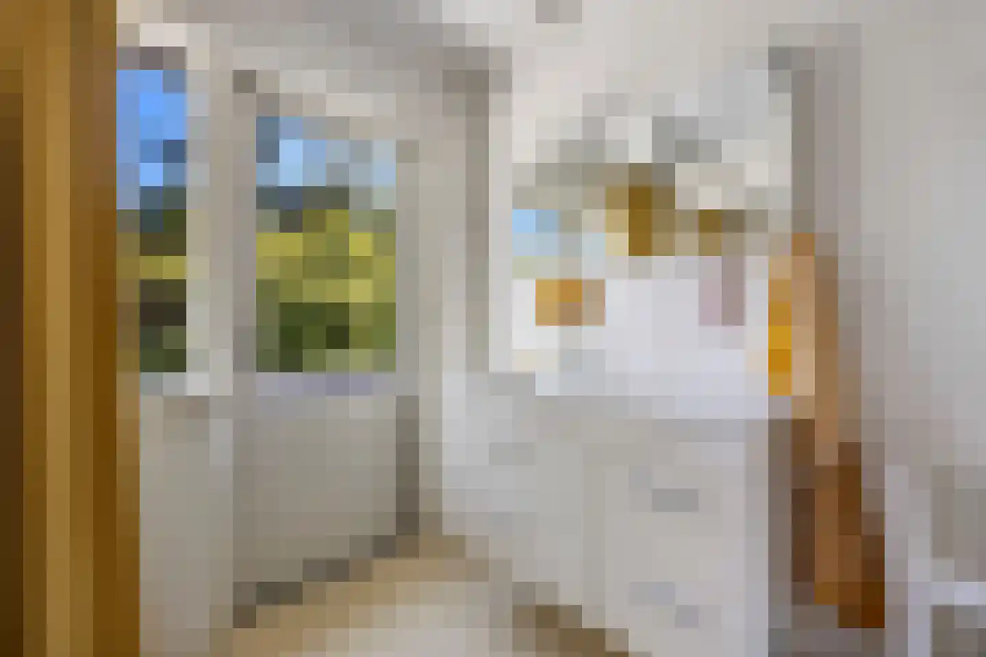 Javastraat 55 Nijmegen thumbnail 25
