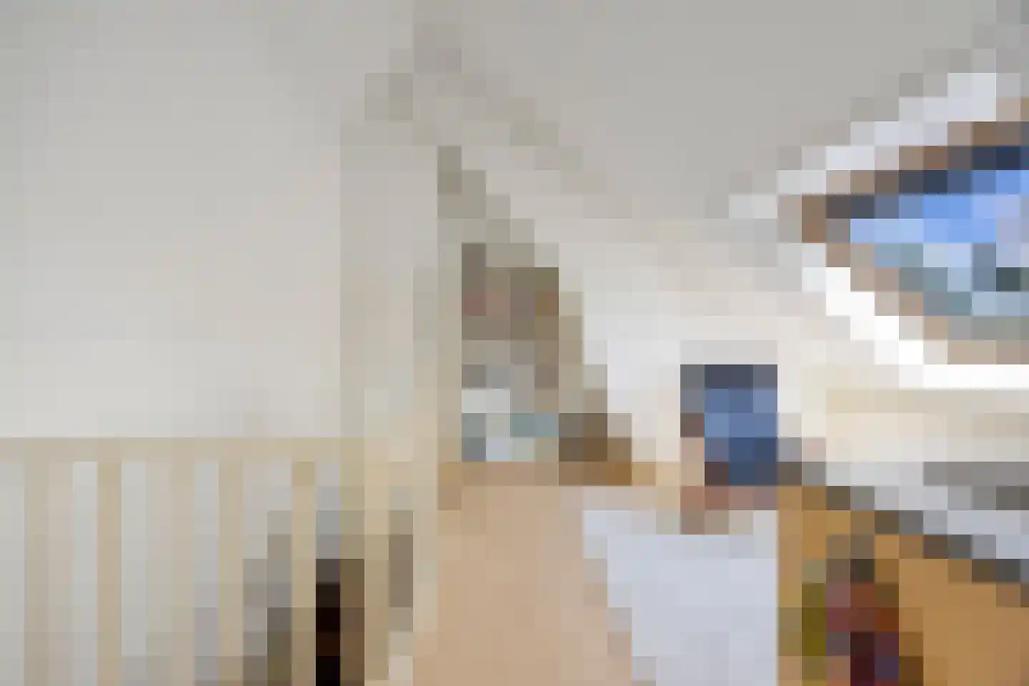 Javastraat 55 Nijmegen thumbnail 31