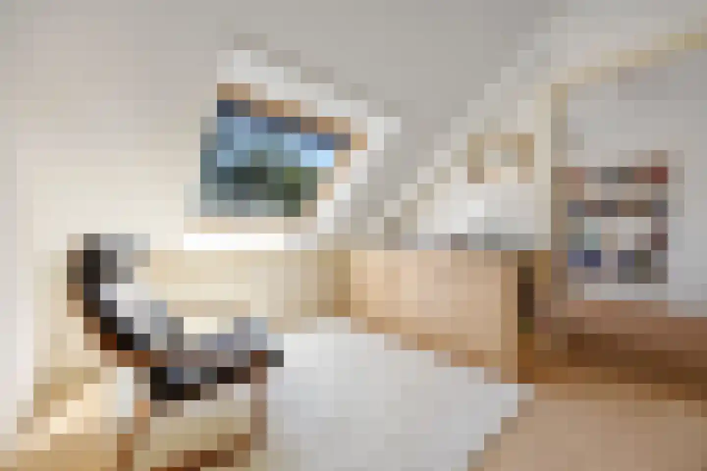 Javastraat 55 Nijmegen thumbnail 32