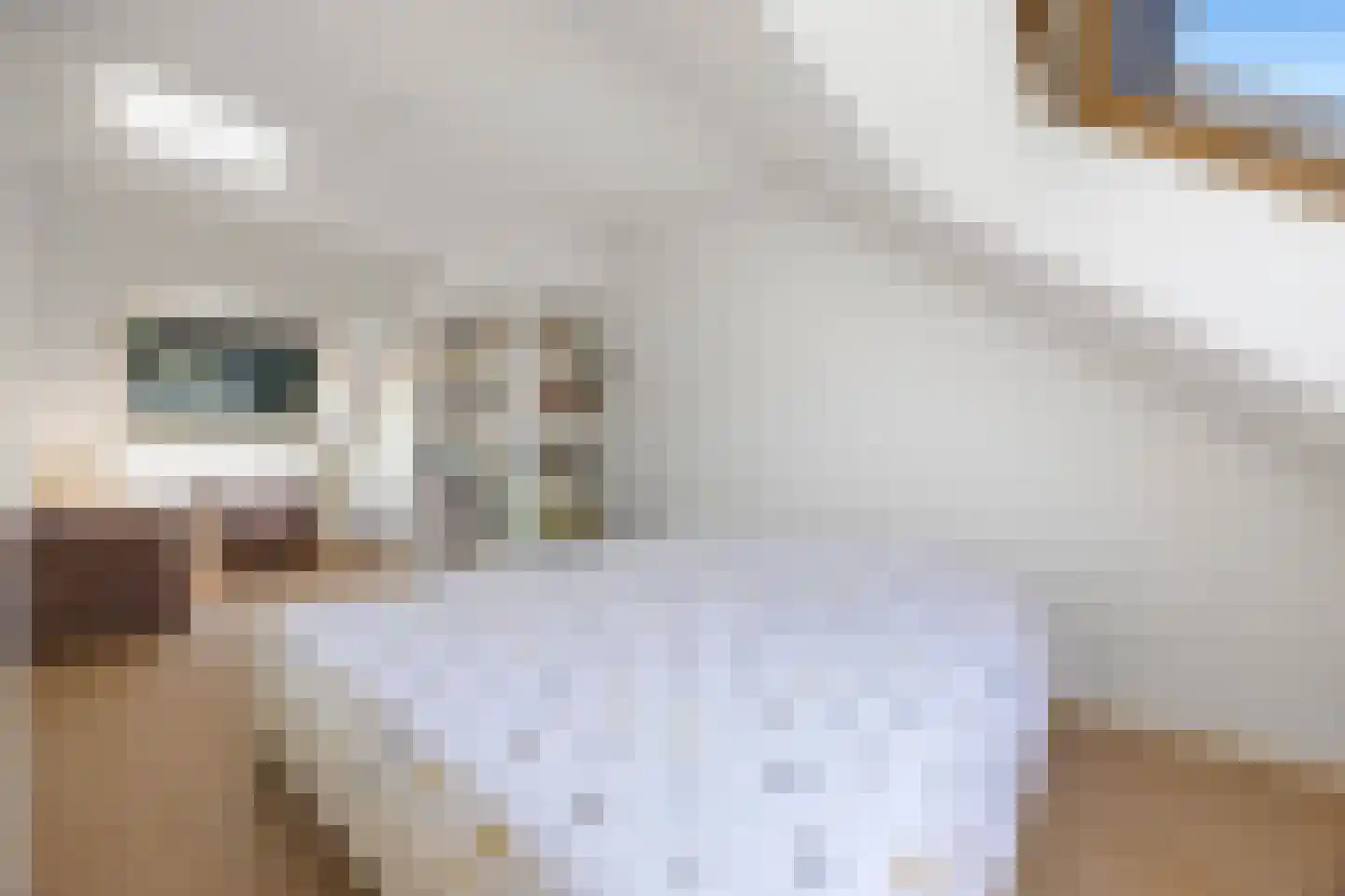 Javastraat 55 Nijmegen thumbnail 33