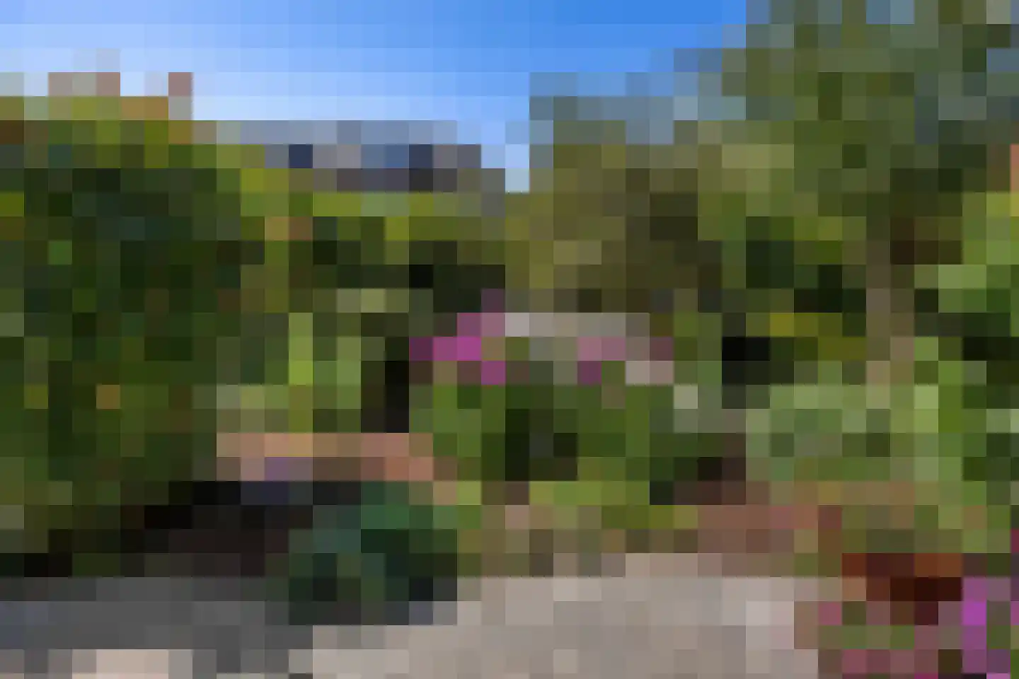 Javastraat 55 Nijmegen thumbnail 42