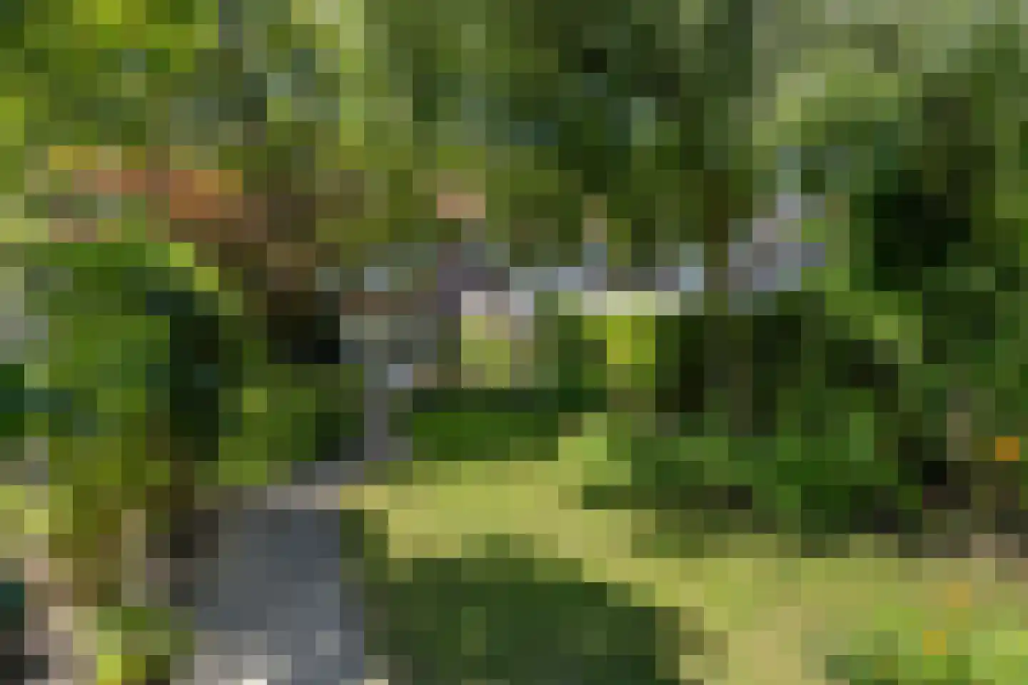 Javastraat 55 Nijmegen thumbnail 46