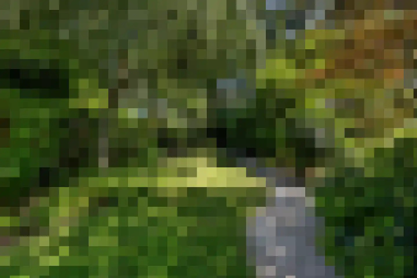 Javastraat 55 Nijmegen thumbnail 47