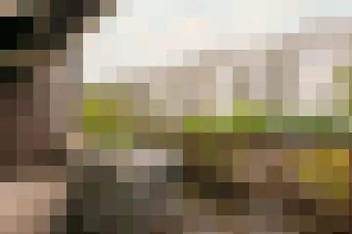 Javastraat 59 A Amsterdam thumbnail 13