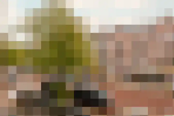Javastraat 59 A Amsterdam thumbnail 18