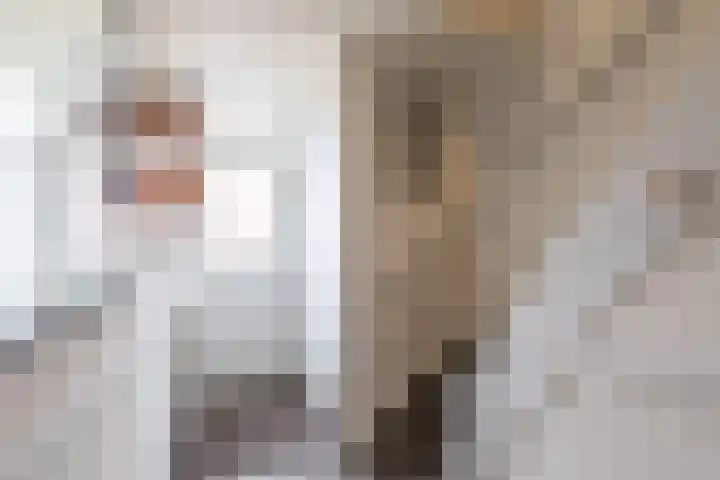 Javastraat 6 Delft thumbnail 22