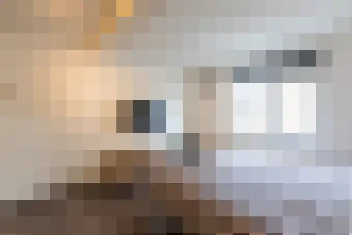 Javastraat 6 Delft thumbnail 26