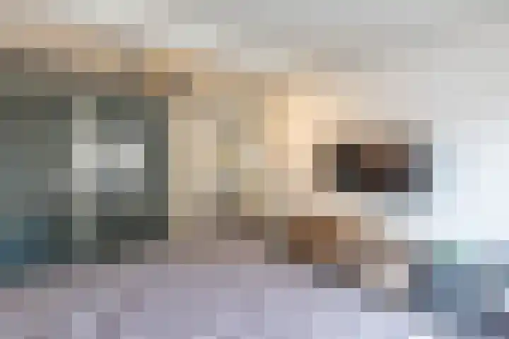 Javastraat 6 Delft thumbnail 28