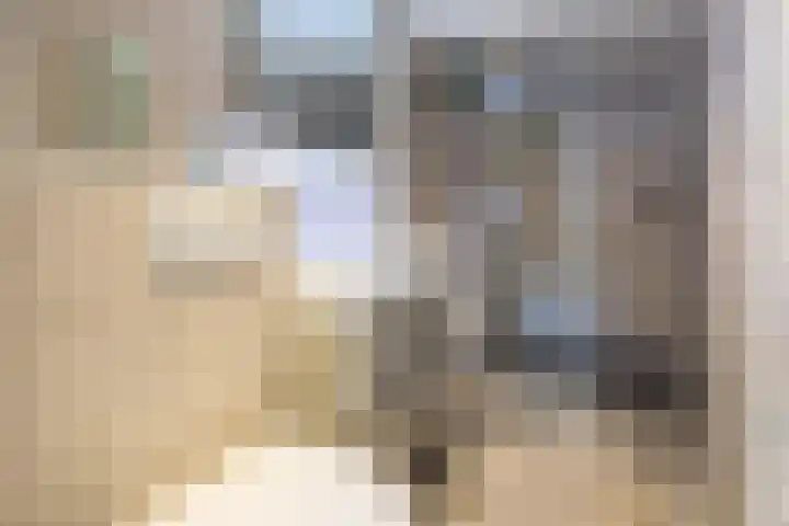 Javastraat 6 Delft thumbnail 29