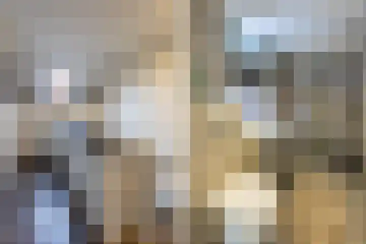 Javastraat 6 Delft thumbnail 30