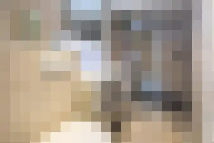 Javastraat 6 Delft thumbnail 4