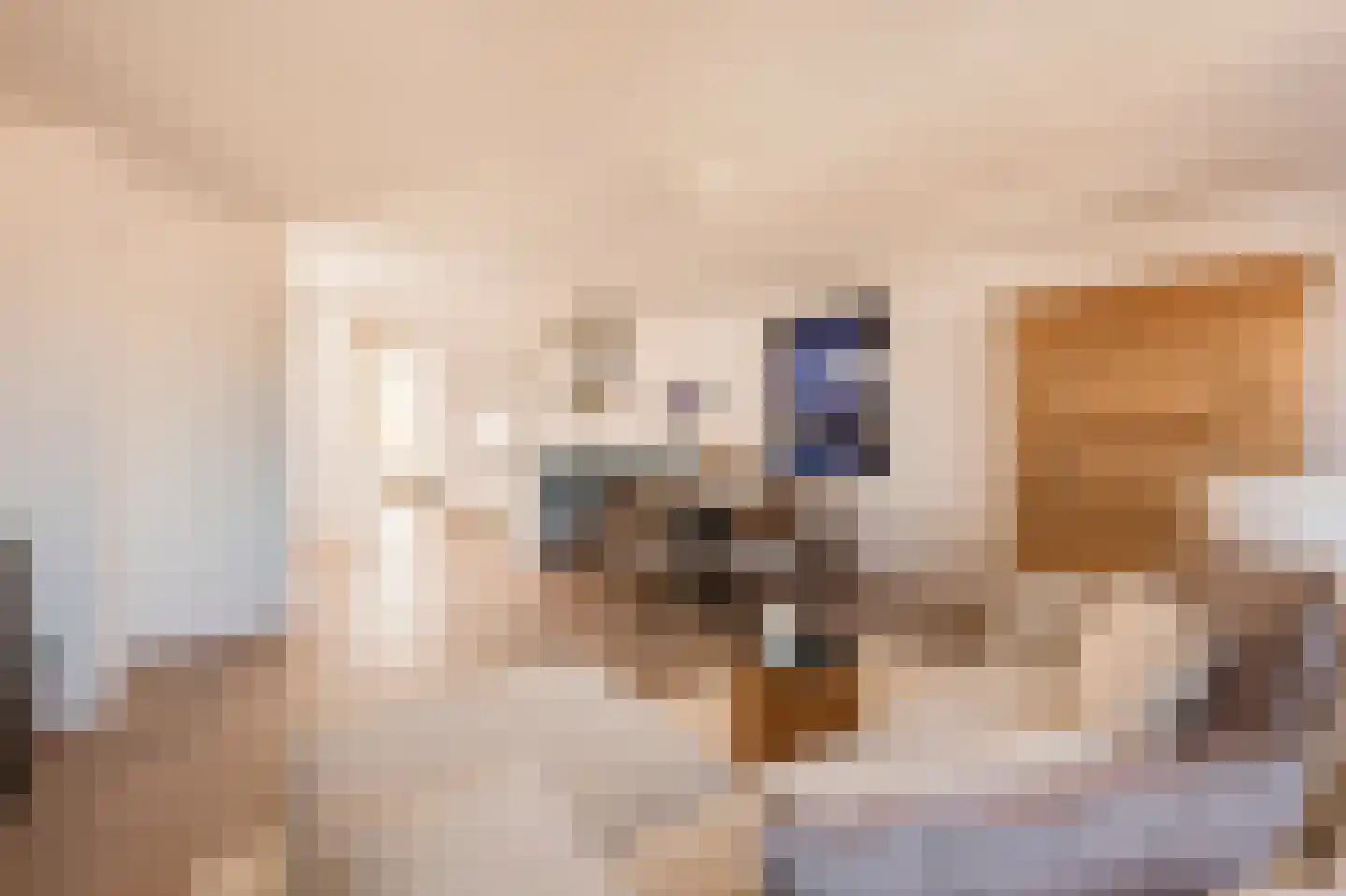 Javastraat 60 4 Amsterdam thumbnail 9