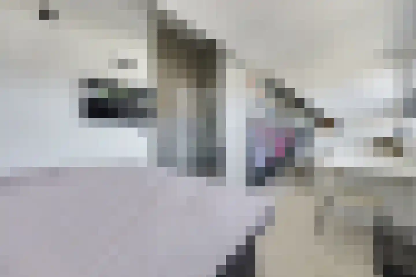 Javastraat 64 Enschede thumbnail 39