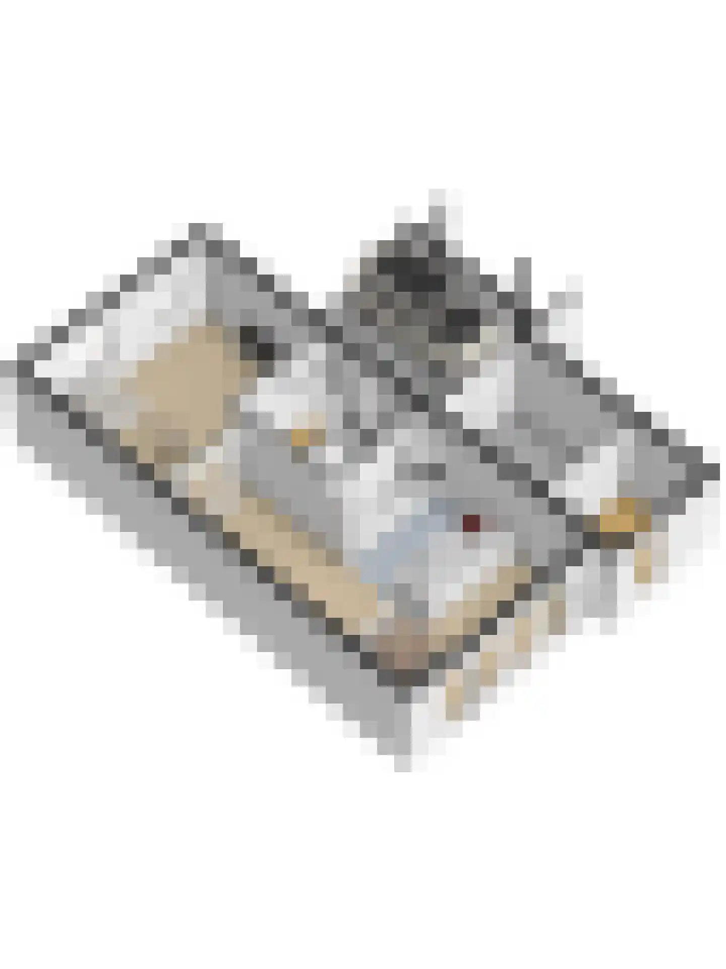 Javastraat 64 Enschede thumbnail 54