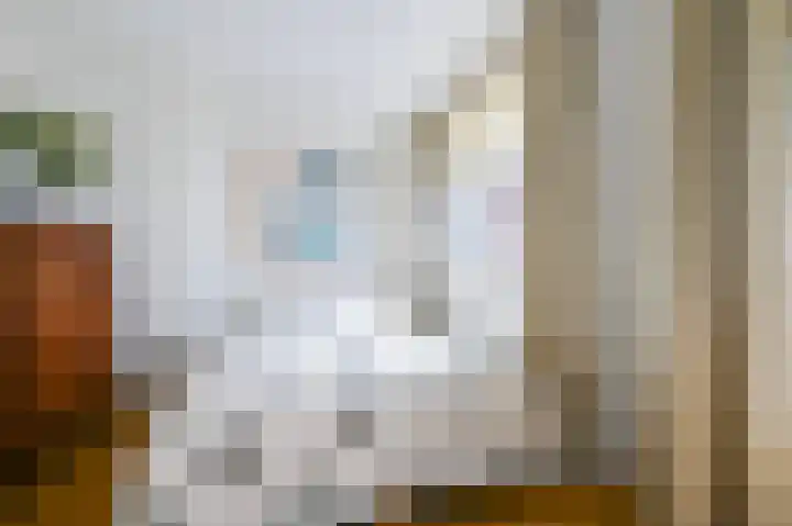 Javastraat 65 C Den Haag thumbnail 12