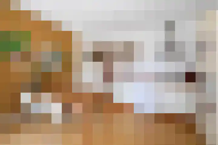 Javastraat 65 C Den Haag thumbnail 7