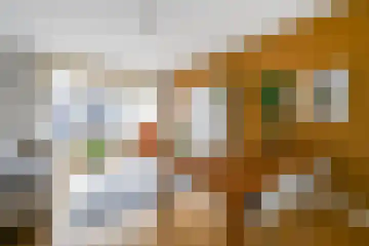 Javastraat 65 C Den Haag thumbnail 9