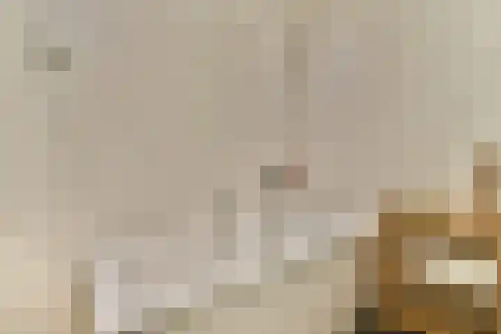Javastraat 67 2 Amsterdam thumbnail 17