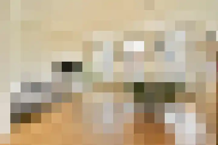 Javastraat 67 2 Amsterdam thumbnail 5