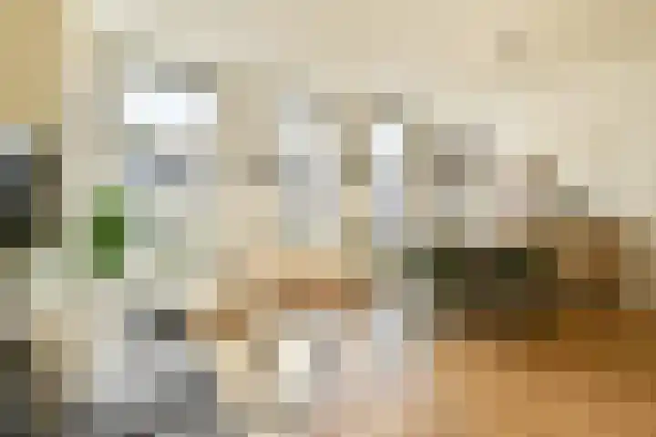 Javastraat 67 2 Amsterdam thumbnail 7