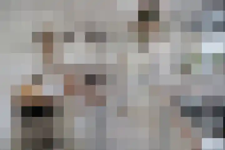 Javastraat 68 Tilburg thumbnail 11