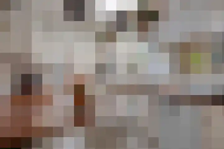 Javastraat 68 Tilburg thumbnail 12