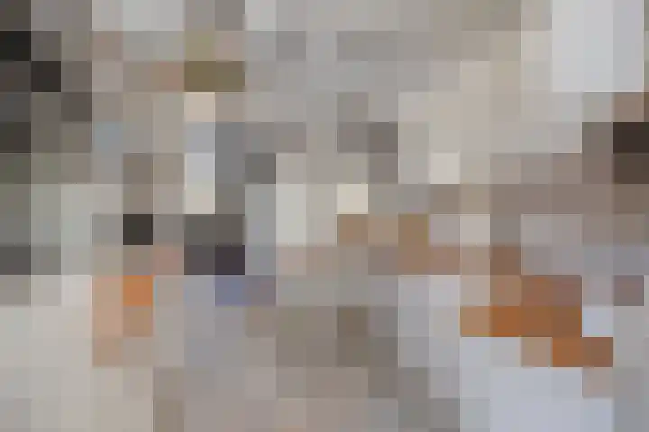 Javastraat 68 Tilburg thumbnail 13