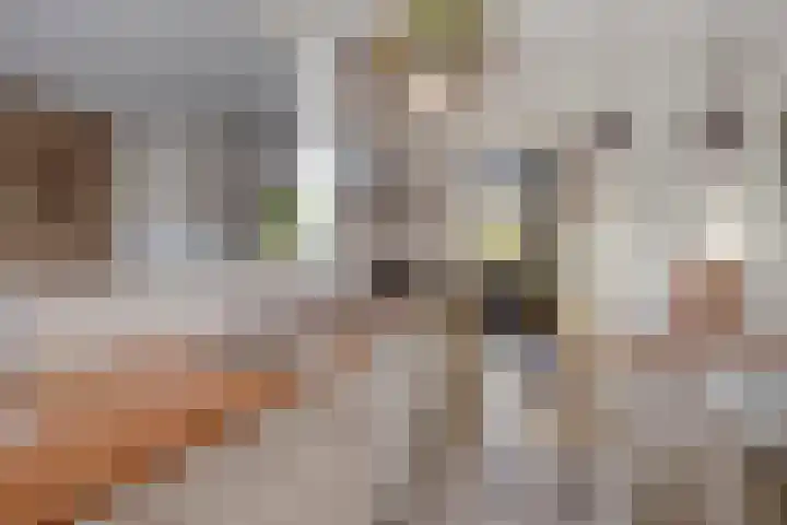Javastraat 68 Tilburg thumbnail 14
