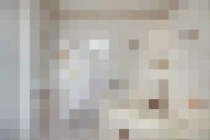 Javastraat 68 Tilburg thumbnail 17
